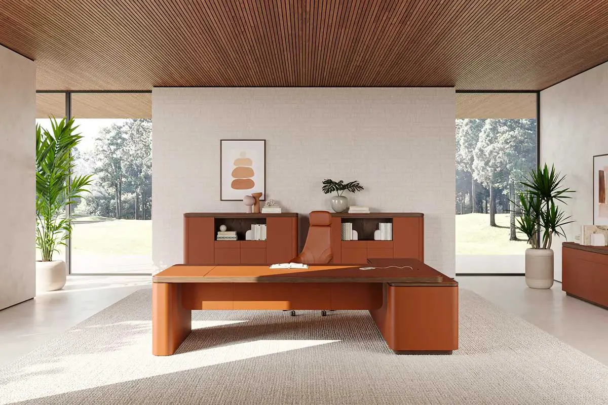 bureau de direction PROF Flow