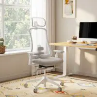 Chaise de bureau ergonomique Flexispot Sheer