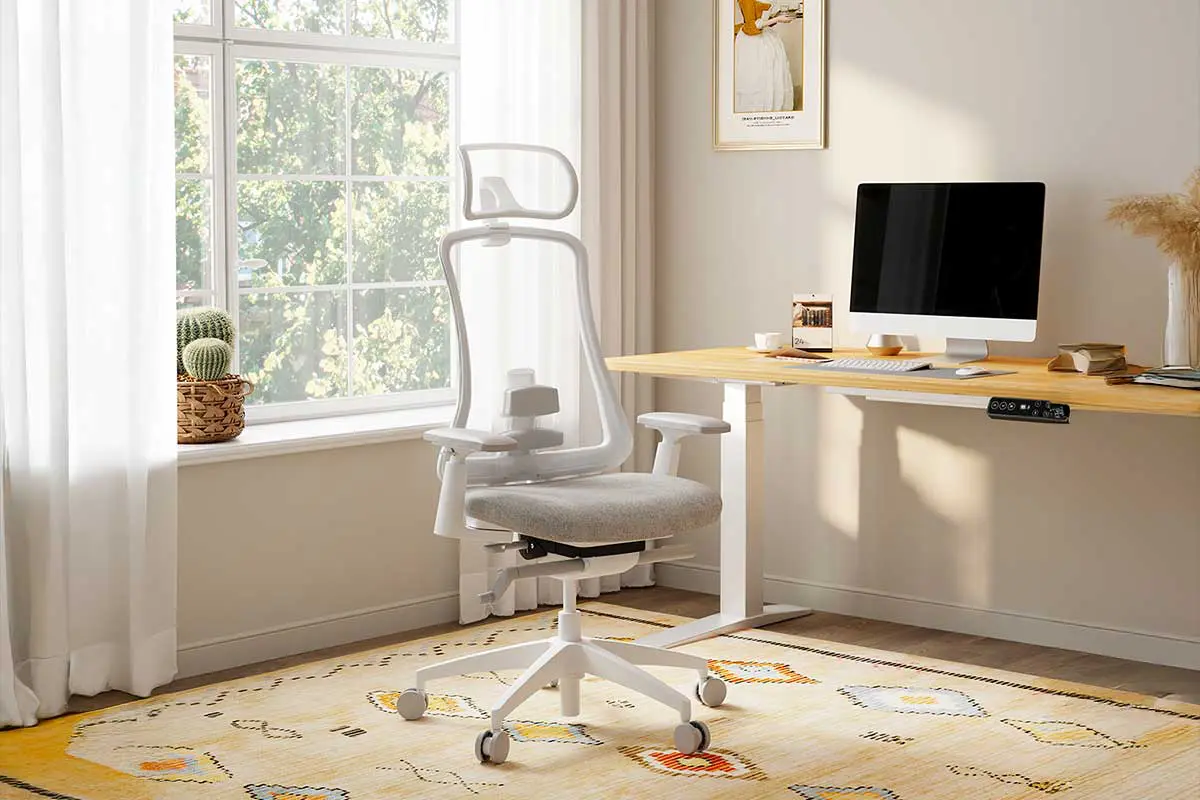 Chaise de bureau ergonomique Flexispot Sheer