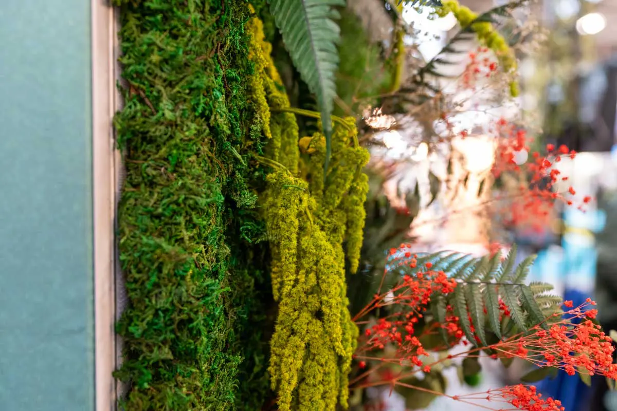 Un mur végétal stabilisé de Captain Vegetal